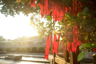 Celebrate Chinese New Year 2017 on the Gold Coast