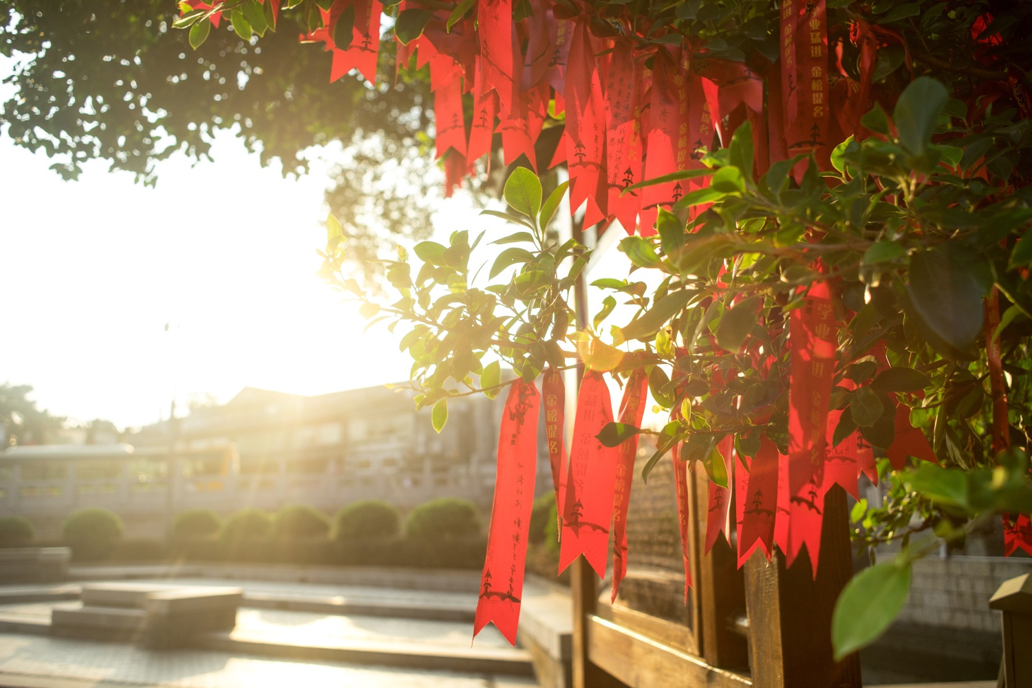 Chinese New Year 2017 on the Gold Coast