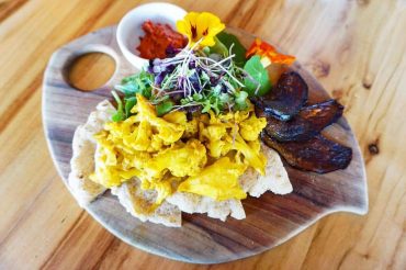 Where to Find the Best Vegan Meals on the GC
