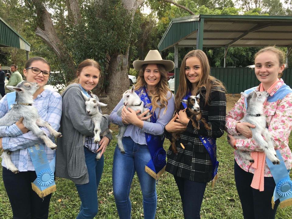 Mudgeeraba Show