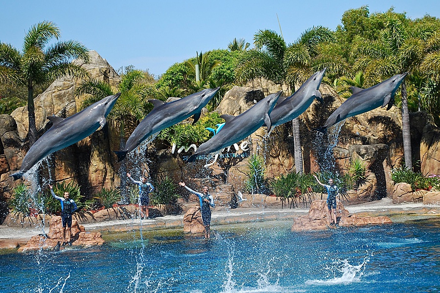 Sea World Gold Coast